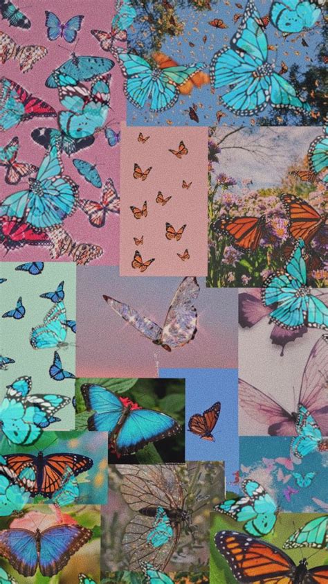 butterfly collage wallpaper